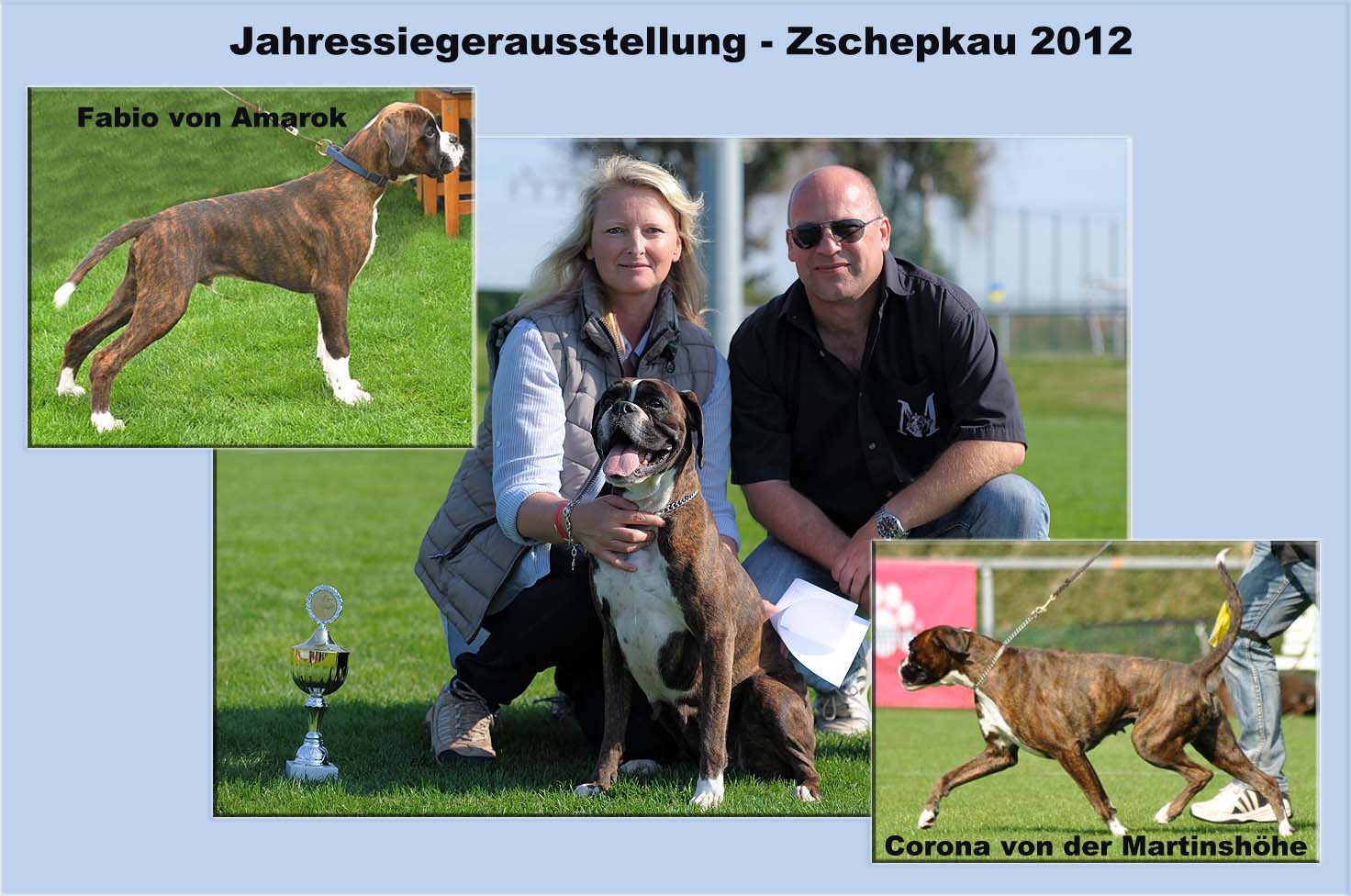 Jahressiegerausstellung