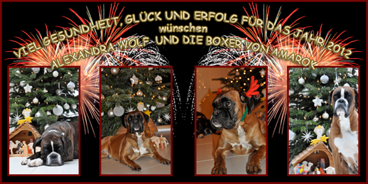 Gesundes neues Jahr