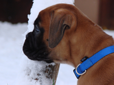 Havanna vom Europakanal