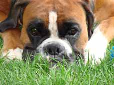 Die glauben ich schlafe jetzt