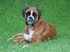 Mal sehen, was heute noch so passiert